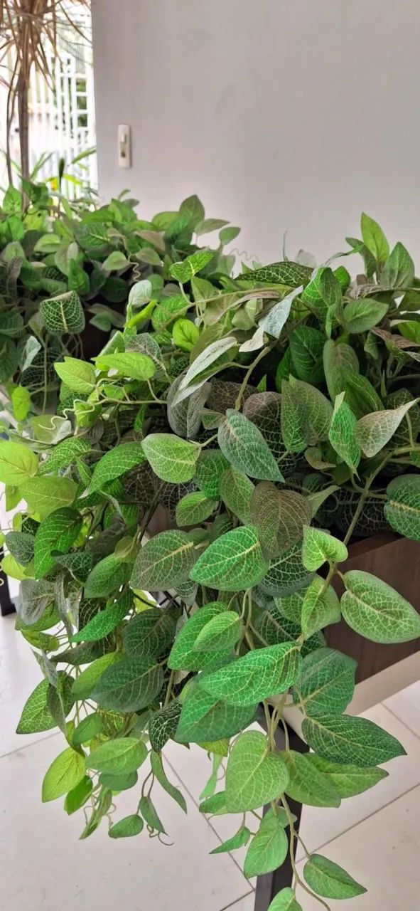 Conjunto com 2 Cachepôs de Madeira e Plantas Permanentes Jiboia - Foto 4