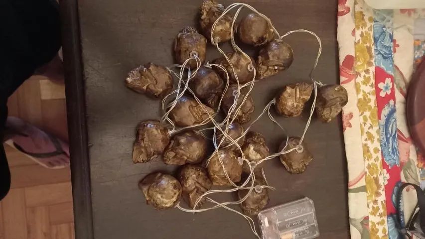 20 Skull Led luminária pilhas  - Foto 5