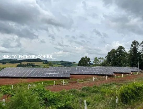 Imóvel Comercial para Venda em Roncador, RURAL - Foto 4