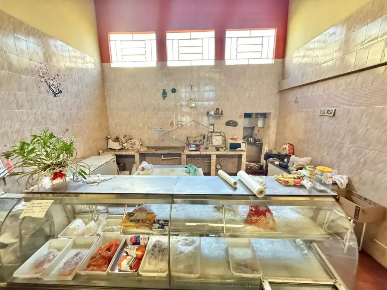 Comercial Barracão em Jaú - Foto 4