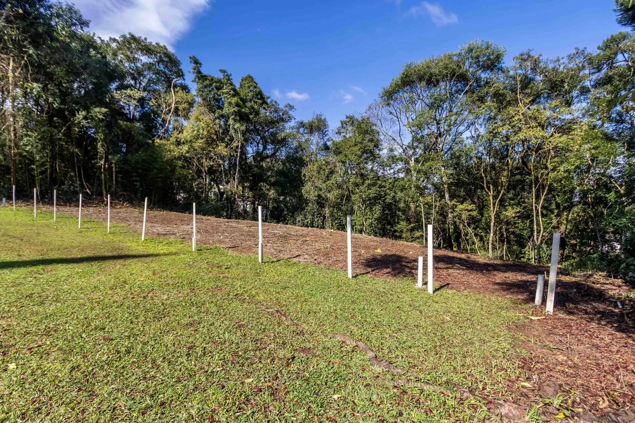 Terreno no Mossungê - ARYA 1 - Foto 3