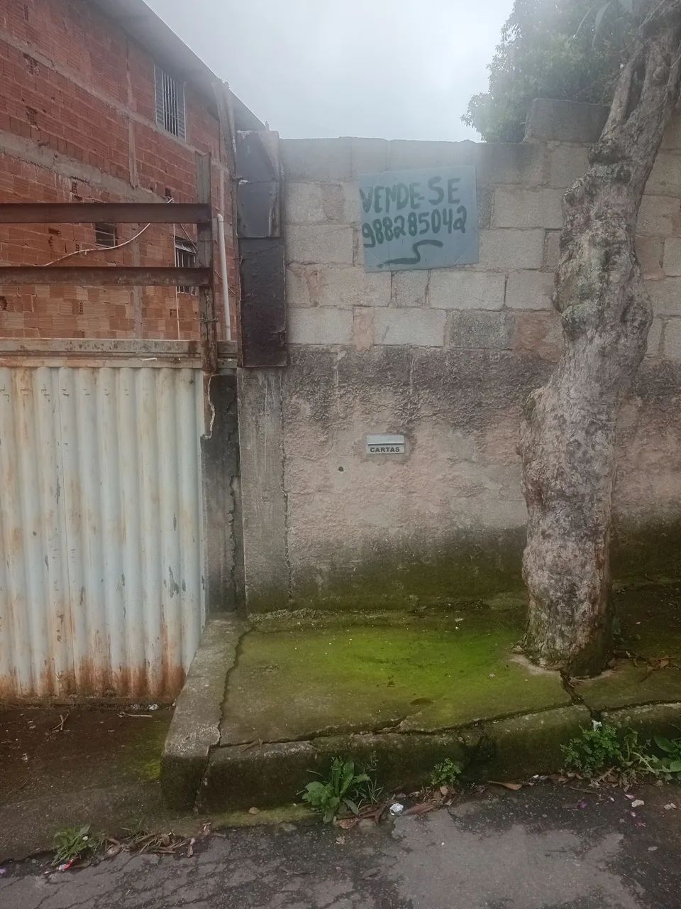 Terreno oportunidade  - Foto 2