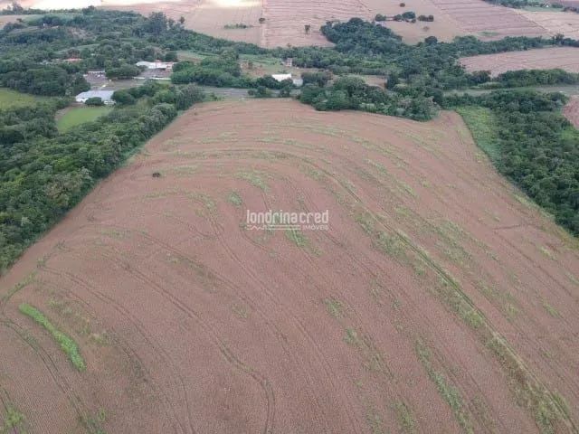 Terreno à venda Jardim Alvorada, Maringá - PR - Foto 3