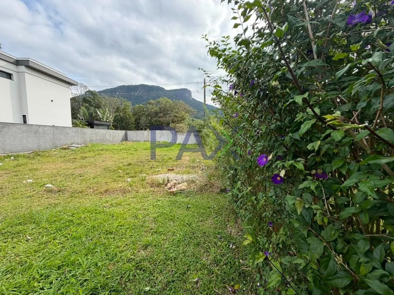 Lote de 321m² à venda no Reserva da Pedra - Foto 4
