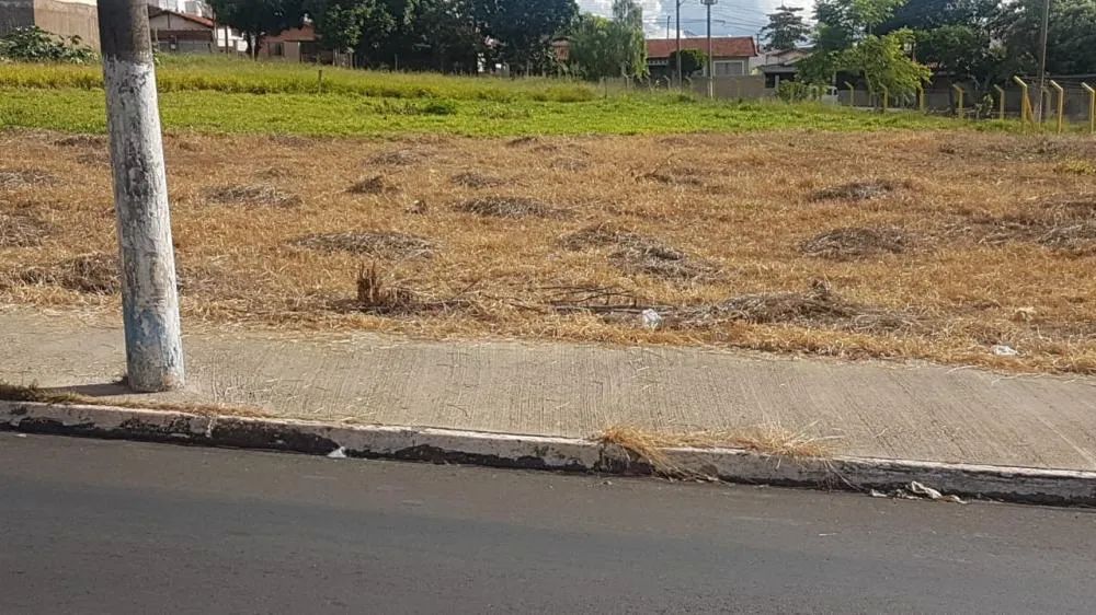 Terreno Comercial em Americana