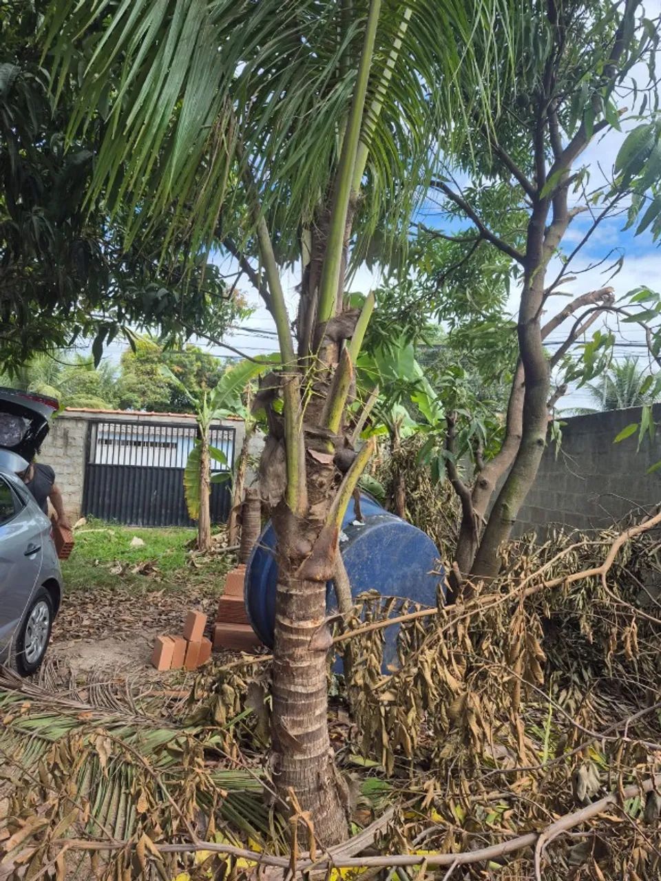 Lote em Morada da Barra - Foto 5