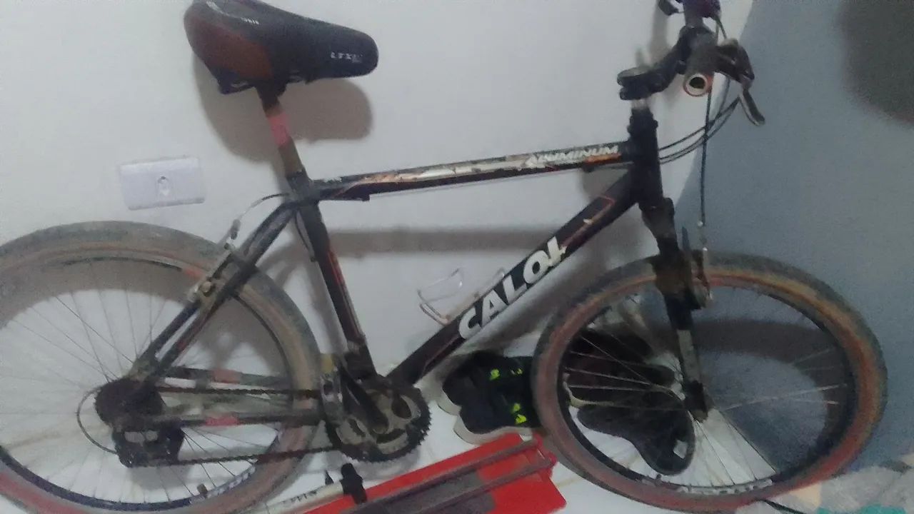 Bicicleta 