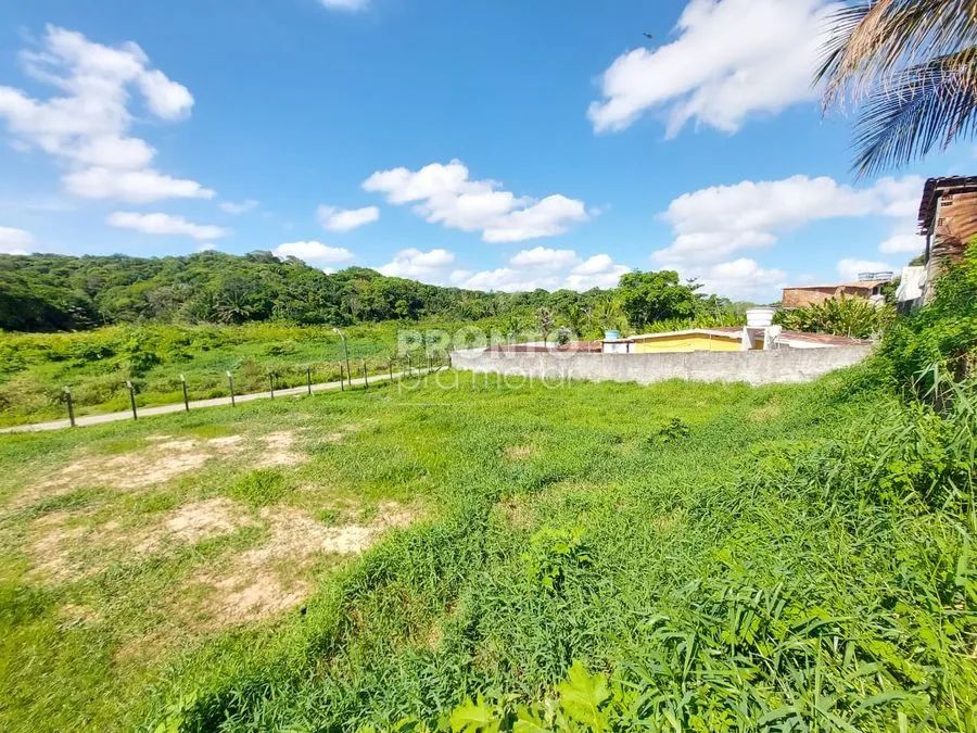 Lote/Terreno/Condomínio em Várzea