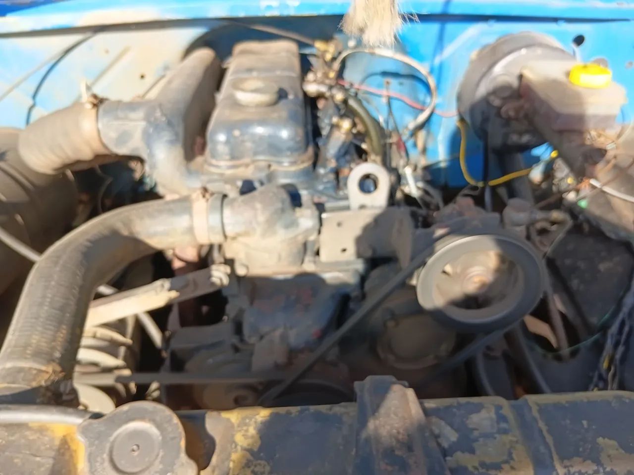 Chevrolet D-10 Diesel 1981 - Foto 3