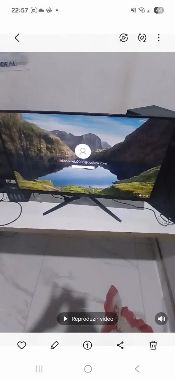 Monitor zannia