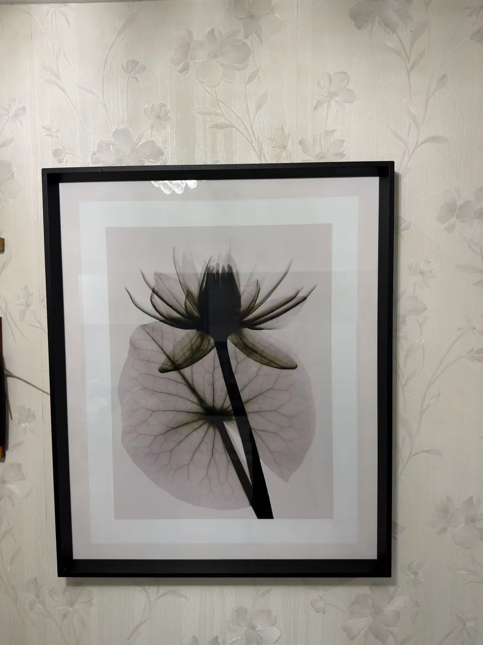 Quadro Decorativo 