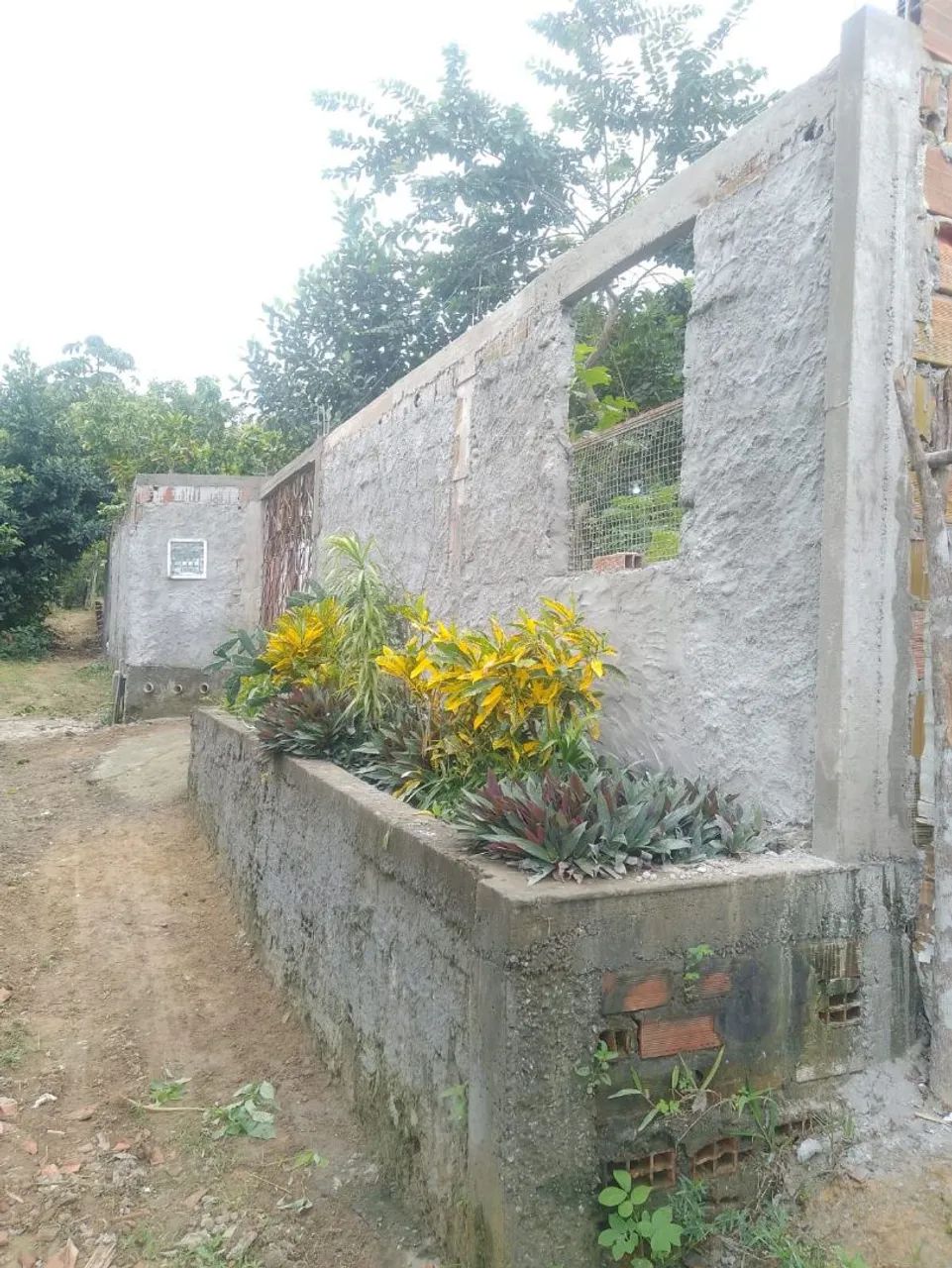 Foto - Mata de São João - 