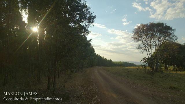 Fazenda Para Gado Ipameri-Go! - Foto 20