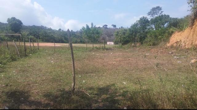 Terreno ótima oportunidade - Foto 3