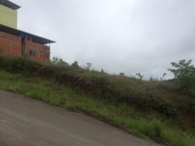 Lote - Foto 2
