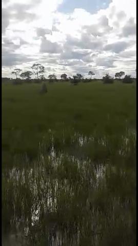 Fazenda em Santo Antônio do Leverger 9.880 hectares - Foto 16