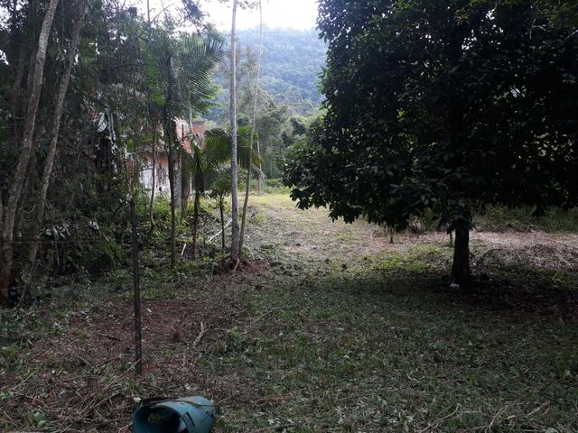 Vende se lote paraty * so nesse numero - Foto 6