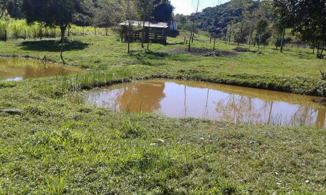 Belíssimo sítio em Cachoeiras de Macacu RJ 122 oportunidade!!! - Foto 2