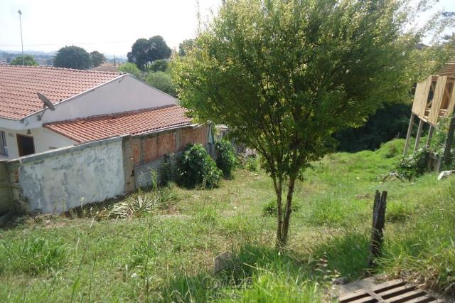 Terreno com 455 m² no Uberaba - Foto 3