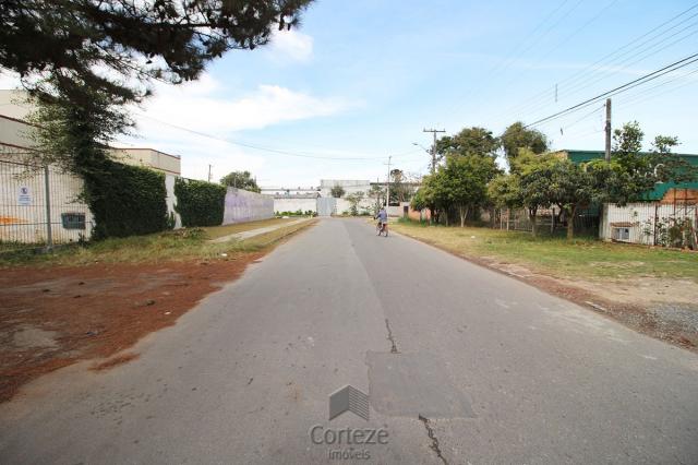 Terreno para barracão, no Boqueirão - Foto 4