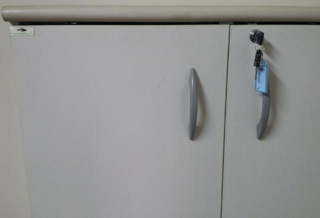 Armário Alto Para Escritório Com 2 Portas - Pasta Suspensa - Foto 2