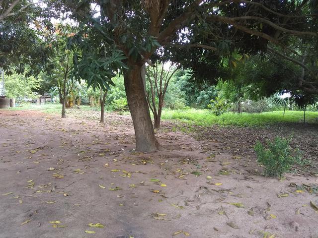 Chacara - Foto 5