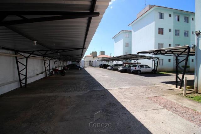 Apartamento com 2 quartos no Sitio Cercado. - Foto 13