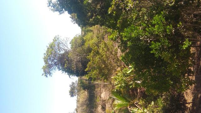 Sitio - Foto 10