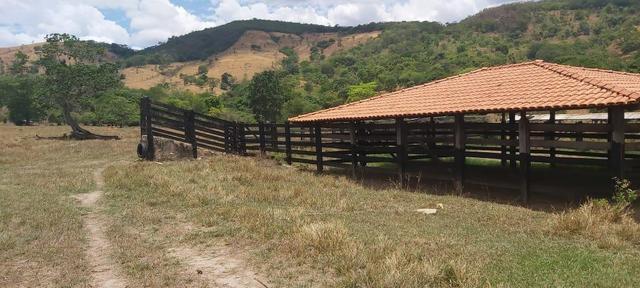 Fazenda
