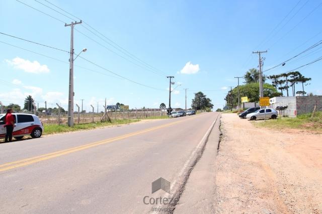 Terreno na Região do São Marcos BR-376 - Foto 6