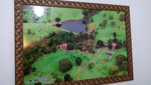 Fazenda 16,5 Alq - 50km de Goiânia - Hidrolândia - Entrada exclusiva - a 4 km da Rodovia - Foto 14