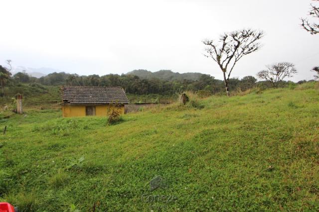 Chácara no Barro Branco em São José dos Pinhais - Foto 6
