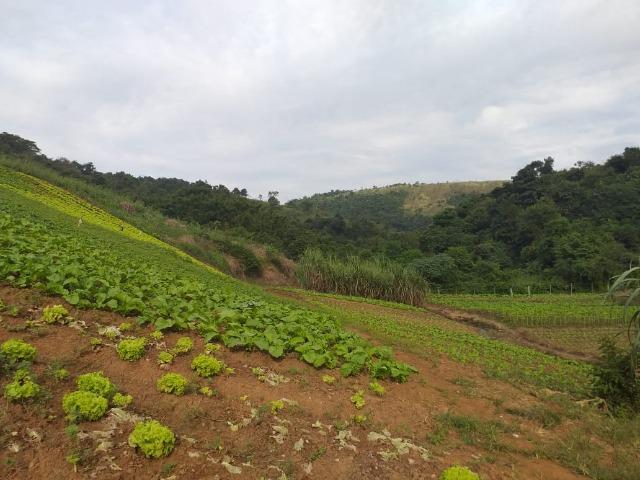 Excelentes terrenos - Foto 3