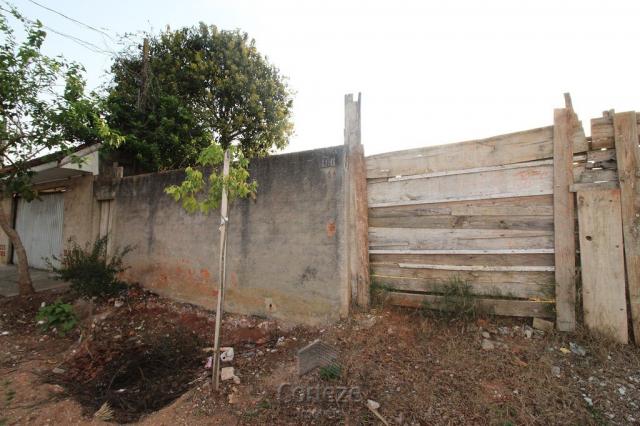 Terreno com 376,12m² no Rio Pequeno - Foto 2