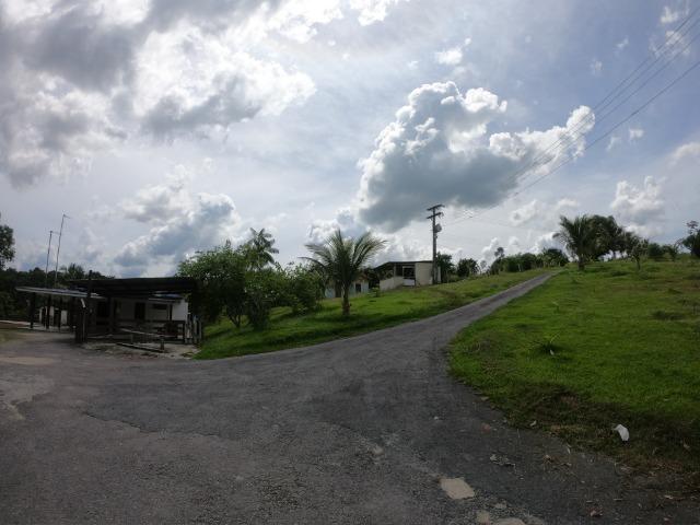 Fazenda Produtiva 1200 x 1100 com 20 tanques peixes em Rio Preto da Eva - Foto 11