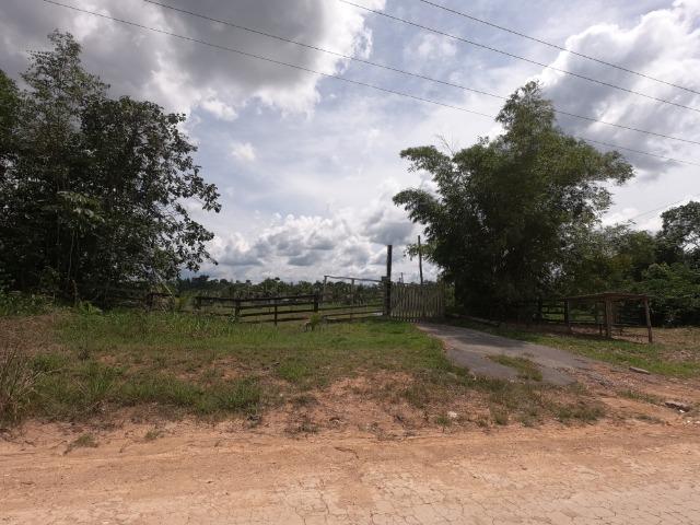 Fazenda Produtiva 1200 x 1100 com 20 tanques peixes em Rio Preto da Eva - Foto 9