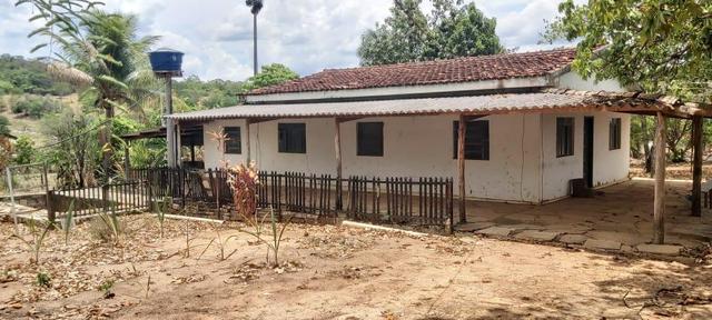 Fazenda - Foto 4