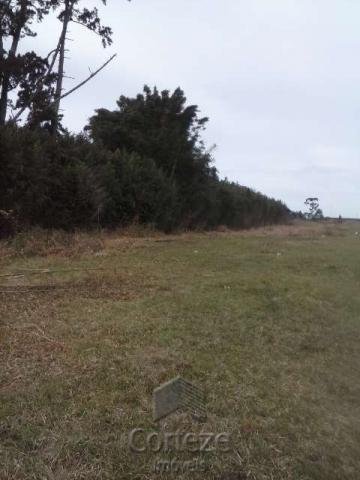 Terreno amplo no Costeira - Foto 4