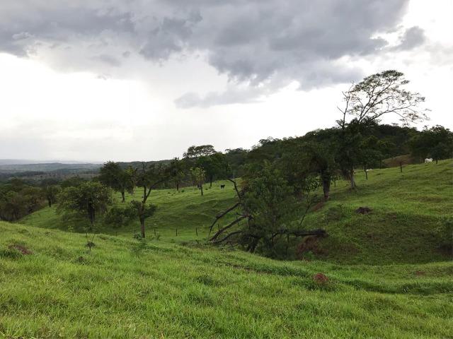 100% cultura. Fazenda 44 Alqueires ( 213 ha ) Cromínia-GO - Foto 4