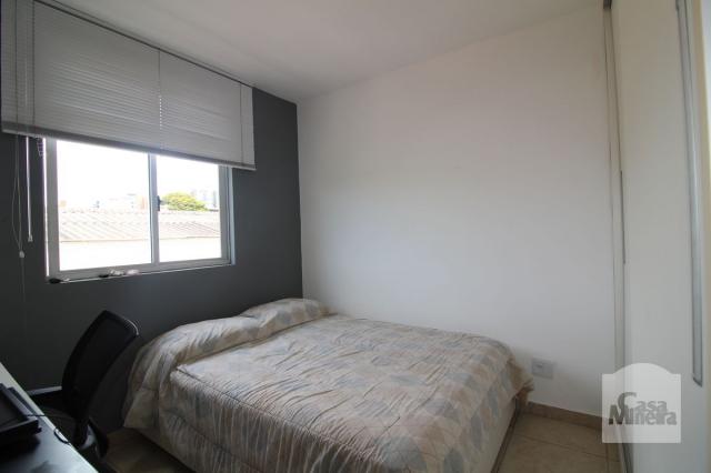 Apartamento à venda com 4 dormitórios em Calafate, Belo horizonte cod:240539 - Foto 5