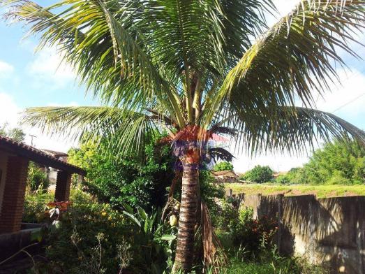 Casa residencial para venda ou trocana cidade de bofete. - Foto 20