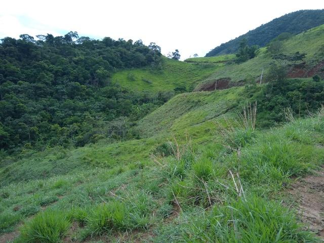 Fazenda de 150 alqueires ou seja 7.200.000 m² em Casimiro de Abreu, RJ - Foto 17