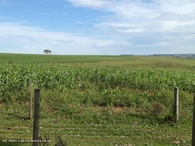 Fazenda para venda em estrela do norte, zona rural, 3 dormitórios, 1 suíte, 1 banheiro