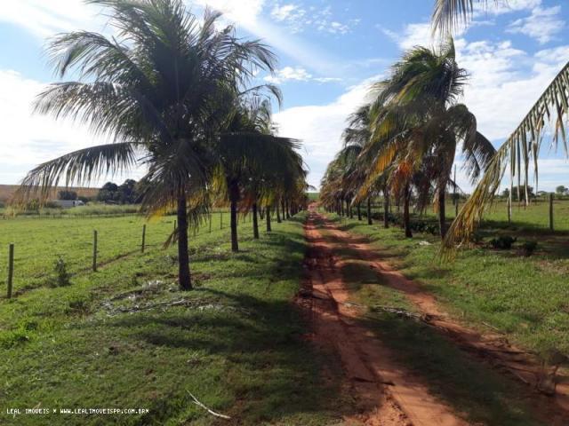 Fazenda para venda em estrela do norte, zona rural, 3 dormitórios, 1 suíte, 1 banheiro - Foto 12