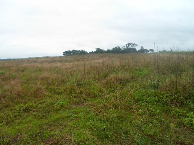 3 terrenos com 5.000 m² - Foto 7