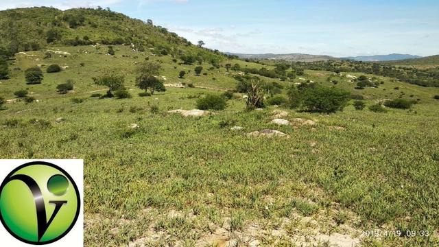 Areá com 65 Hectares nas Margens da Pista de Mandacaru em Gravatá-PE - Foto 15