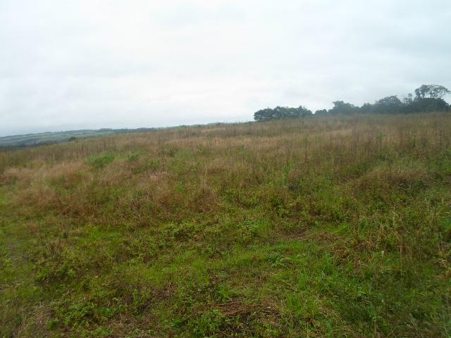 3 terrenos com 5.000 m² - Foto 8