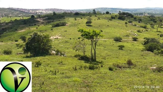 Areá com 65 Hectares nas Margens da Pista de Mandacaru em Gravatá-PE - Foto 5