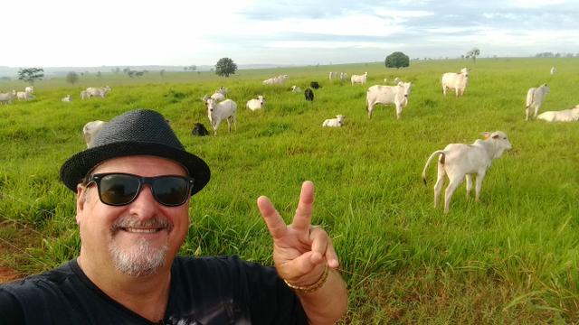 Arrendo Sitio 25 Hectares no Noroeste Pr - Foto 6