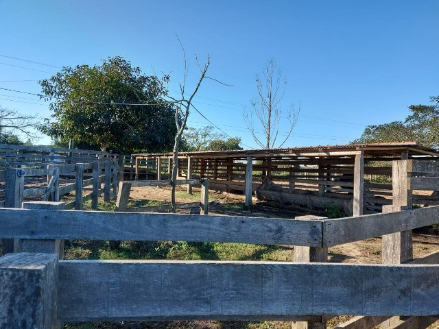 Velleda oferece 4 hectares c/ campo ideal para cavalos ou ovelhas, luz CEEE - Foto 3
